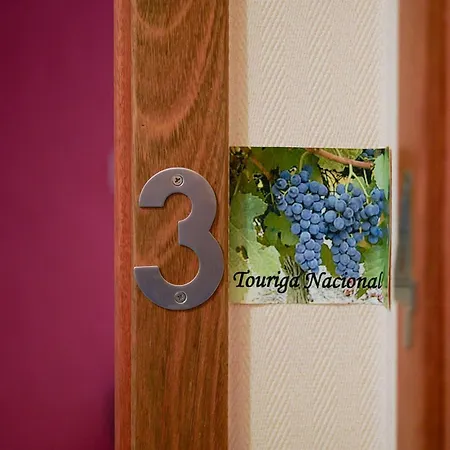 Alojamento Galerias Nascentes Pensionat 3*